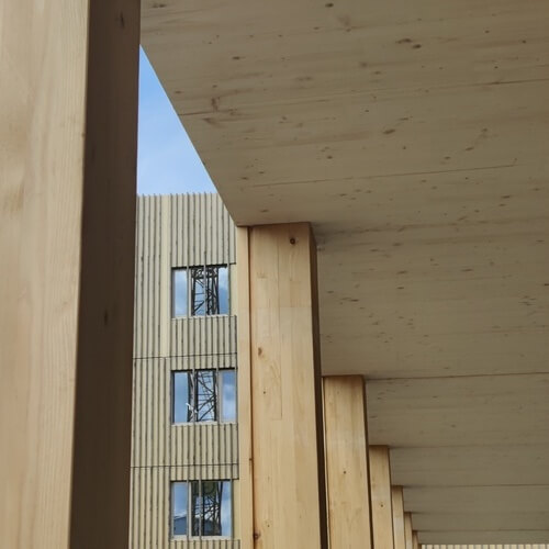 Bois apparent CLT plancher HOBOA