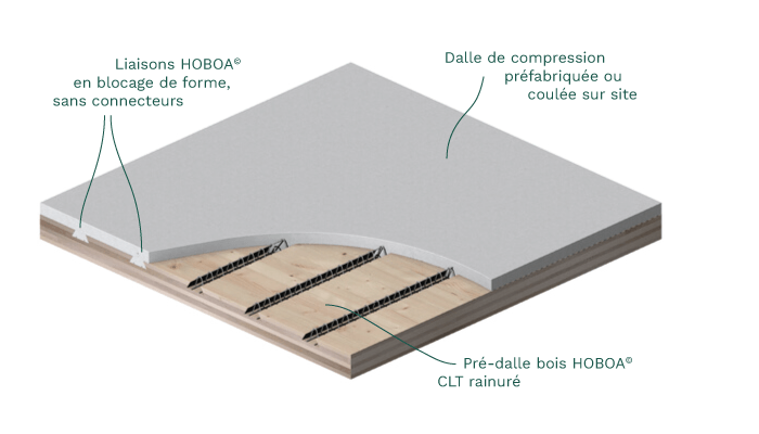 Axonométrie du plancher mixte bois-béton HOBOA