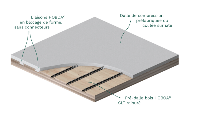 Axonométrie du plancher mixte HOBOA